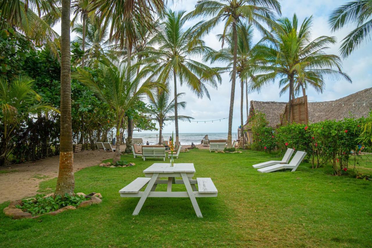 Casa Chapolin Boutique Guesthouse ปาโลมิโน ภายนอก รูปภาพ